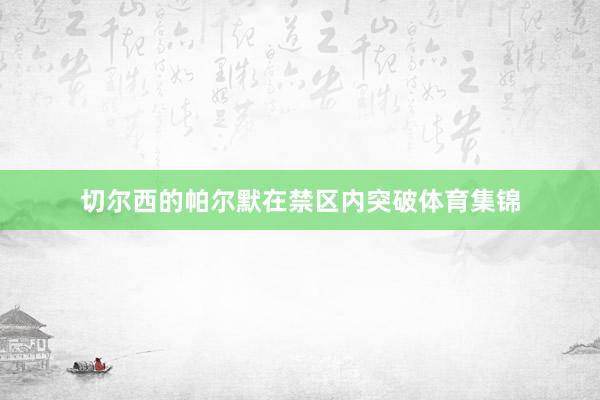 切尔西的帕尔默在禁区内突破体育集锦