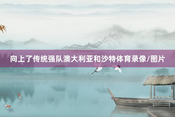 向上了传统强队澳大利亚和沙特体育录像/图片