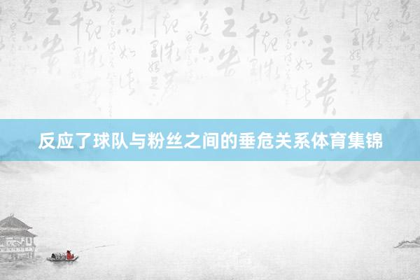 反应了球队与粉丝之间的垂危关系体育集锦