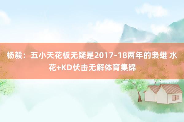 杨毅：五小天花板无疑是2017-18两年的枭雄 水花+KD伏击无解体育集锦