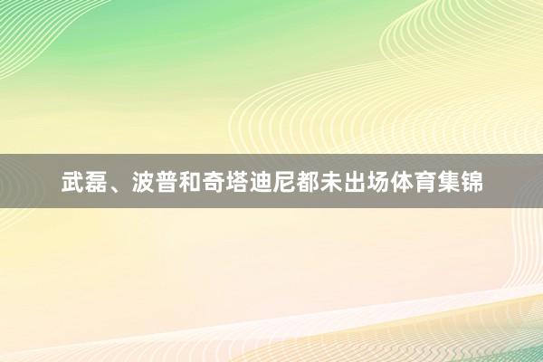 武磊、波普和奇塔迪尼都未出场体育集锦