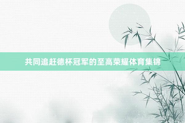 共同追赶德杯冠军的至高荣耀体育集锦