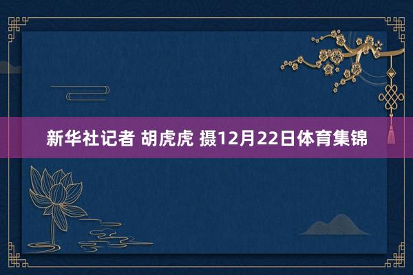 新华社记者 胡虎虎 摄12月22日体育集锦
