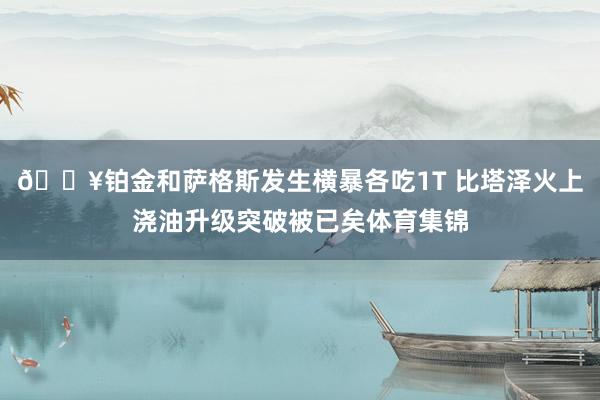 🔥铂金和萨格斯发生横暴各吃1T 比塔泽火上浇油升级突破被已矣体育集锦