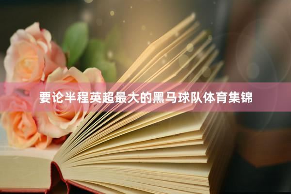 要论半程英超最大的黑马球队体育集锦