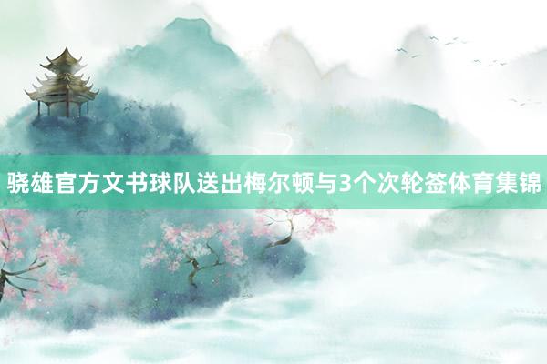 骁雄官方文书球队送出梅尔顿与3个次轮签体育集锦