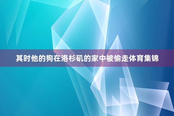 其时他的狗在洛杉矶的家中被偷走体育集锦