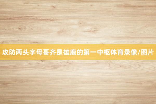 攻防两头字母哥齐是雄鹿的第一中枢体育录像/图片