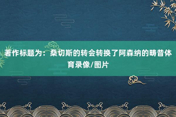 著作标题为：桑切斯的转会转换了阿森纳的畴昔体育录像/图片