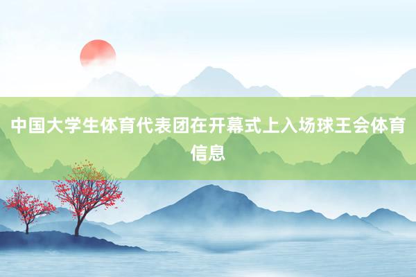 中国大学生体育代表团在开幕式上入场球王会体育信息