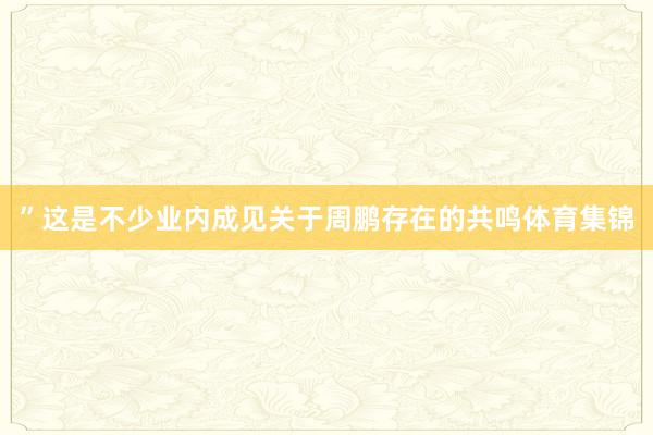 ”这是不少业内成见关于周鹏存在的共鸣体育集锦