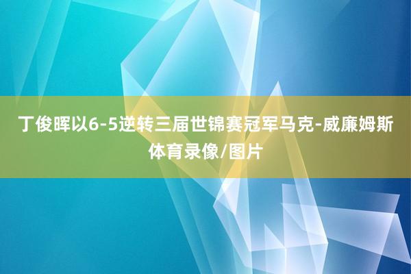 丁俊晖以6-5逆转三届世锦赛冠军马克-威廉姆斯体育录像/图片