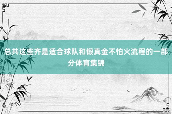 总共这些齐是适合球队和锻真金不怕火流程的一部分体育集锦