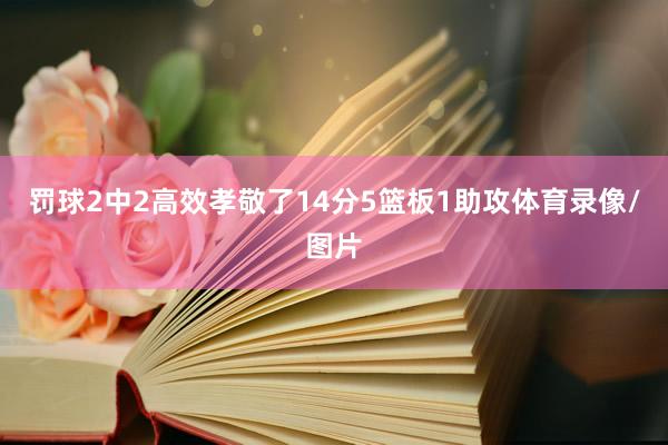 罚球2中2高效孝敬了14分5篮板1助攻体育录像/图片
