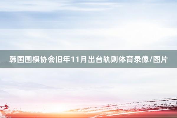 韩国围棋协会旧年11月出台轨则体育录像/图片