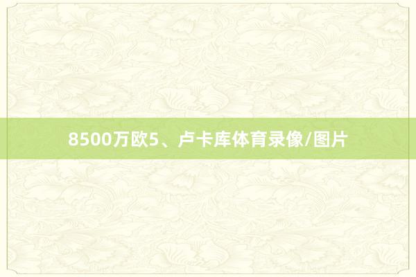 8500万欧　　5、卢卡库体育录像/图片