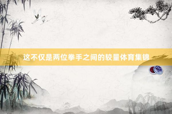 这不仅是两位拳手之间的较量体育集锦