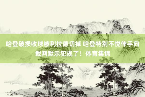 哈登破损收球被利拉德切掉 哈登特别不悦伸手向裁判默示犯规了！体育集锦
