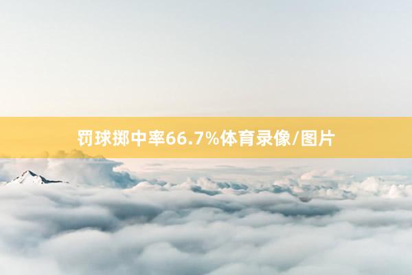 罚球掷中率66.7%体育录像/图片