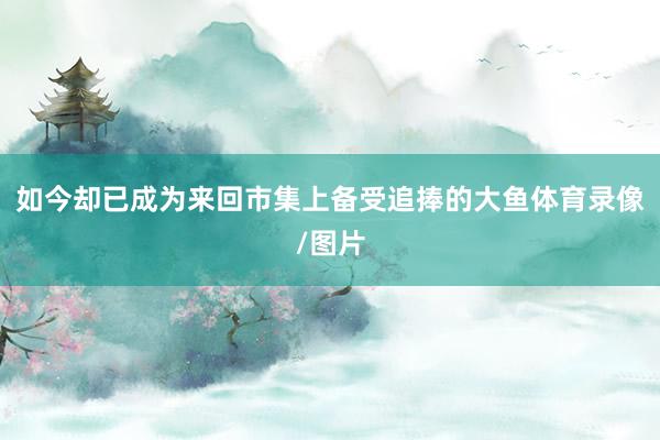 如今却已成为来回市集上备受追捧的大鱼体育录像/图片
