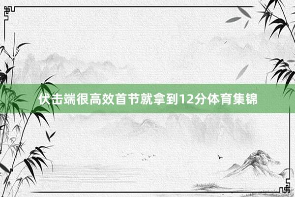 伏击端很高效首节就拿到12分体育集锦