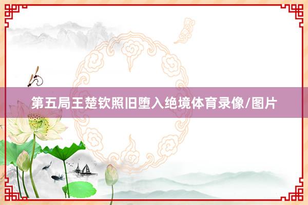 第五局王楚钦照旧堕入绝境体育录像/图片