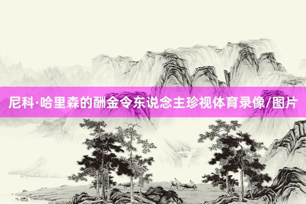 尼科·哈里森的酬金令东说念主珍视体育录像/图片