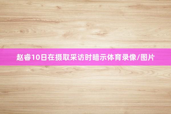 赵睿10日在摄取采访时暗示体育录像/图片