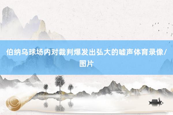 伯纳乌球场内对裁判爆发出弘大的嘘声体育录像/图片