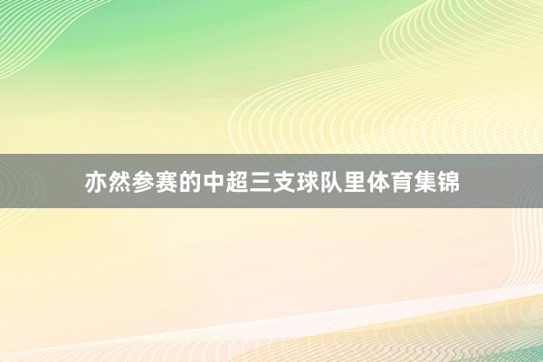 亦然参赛的中超三支球队里体育集锦