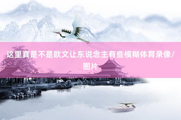 这里真是不是欧文让东说念主有些模糊体育录像/图片