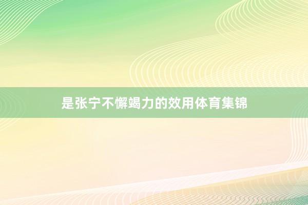 是张宁不懈竭力的效用体育集锦