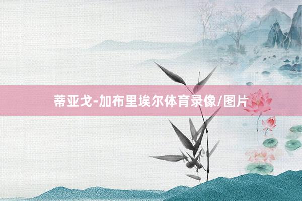 蒂亚戈-加布里埃尔体育录像/图片