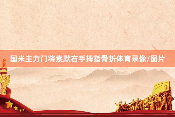 国米主力门将索默右手拇指骨折体育录像/图片