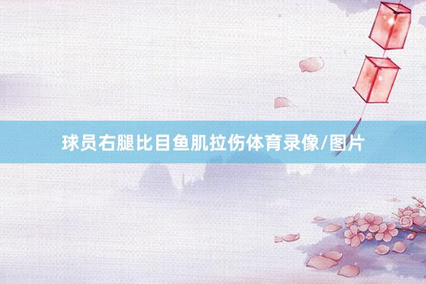 球员右腿比目鱼肌拉伤体育录像/图片
