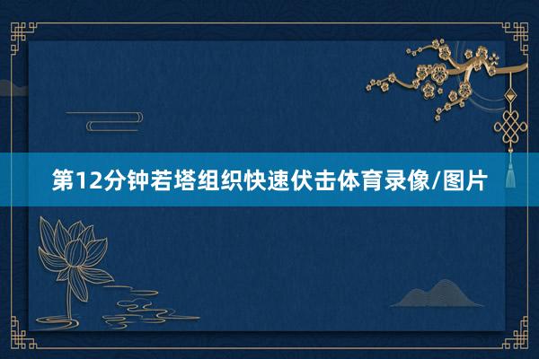 第12分钟若塔组织快速伏击体育录像/图片