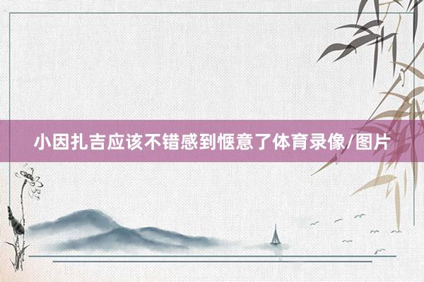 小因扎吉应该不错感到惬意了体育录像/图片