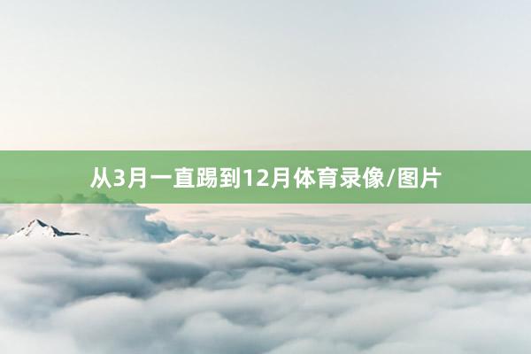 从3月一直踢到12月体育录像/图片
