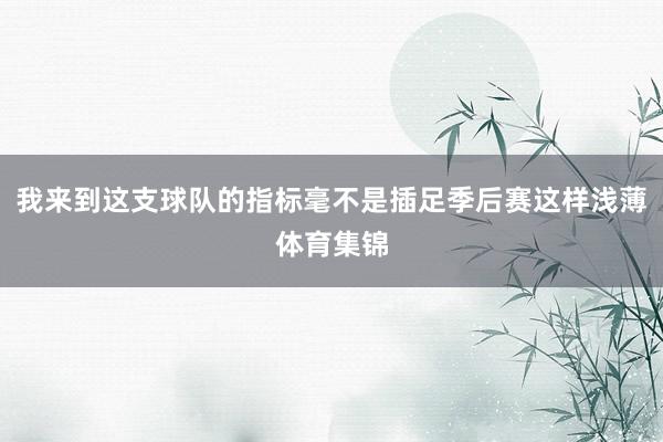 我来到这支球队的指标毫不是插足季后赛这样浅薄体育集锦