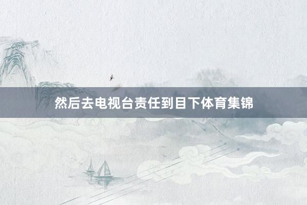然后去电视台责任到目下体育集锦