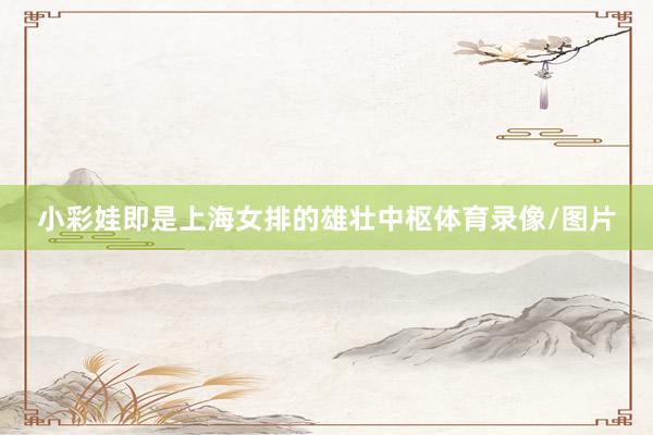 小彩娃即是上海女排的雄壮中枢体育录像/图片