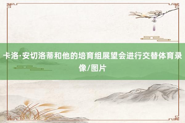 卡洛·安切洛蒂和他的培育组展望会进行交替体育录像/图片