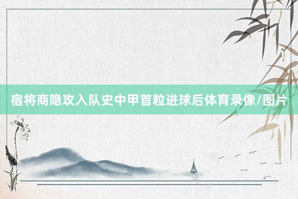 宿将商隐攻入队史中甲首粒进球后体育录像/图片