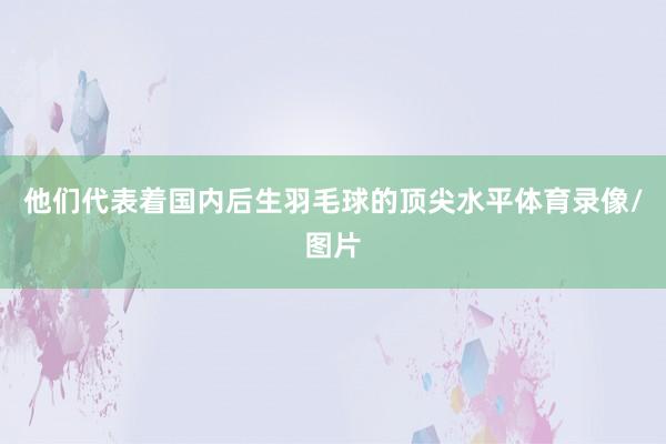 他们代表着国内后生羽毛球的顶尖水平体育录像/图片