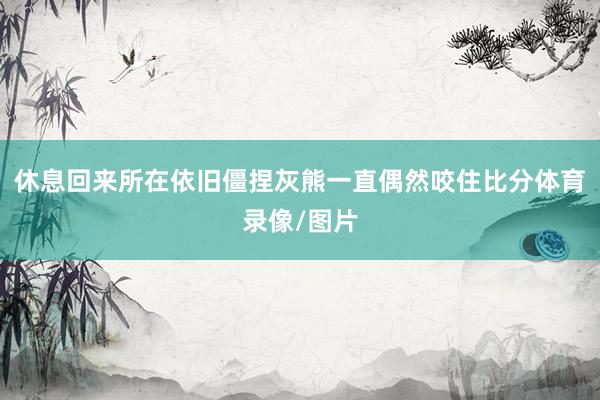 休息回来所在依旧僵捏灰熊一直偶然咬住比分体育录像/图片