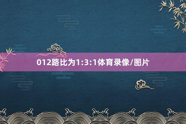 012路比为1:3:1体育录像/图片
