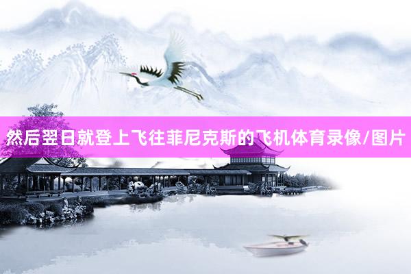 然后翌日就登上飞往菲尼克斯的飞机体育录像/图片