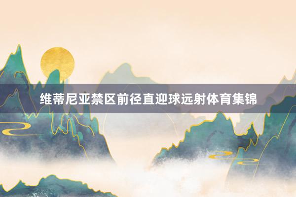 维蒂尼亚禁区前径直迎球远射体育集锦