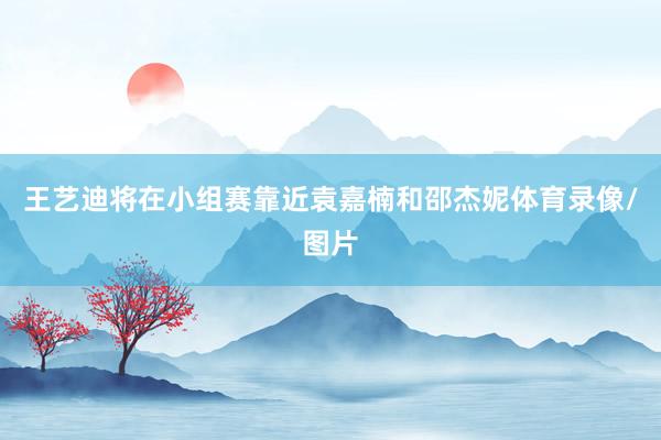 王艺迪将在小组赛靠近袁嘉楠和邵杰妮体育录像/图片