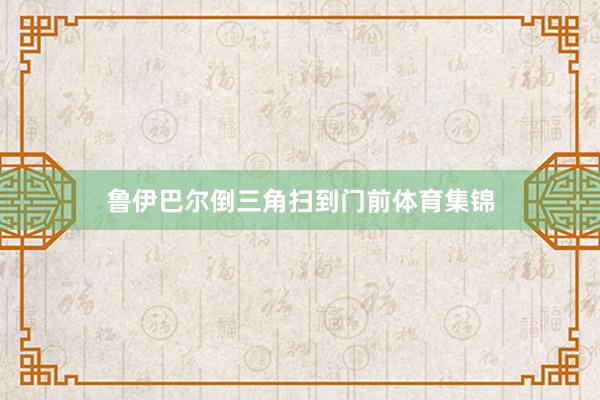 鲁伊巴尔倒三角扫到门前体育集锦